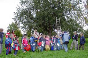 Hofschule macht eigenen Streuobst-Apfelsaft